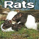 Rats 2009 Wall Calendar 12 X 12