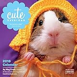 Cute Overload Wall Calendar 2016