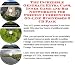 Search : The Incredible Generate Extra Cash, Inner Game and Biz Networking for Foreign Currrencies On-line Businesses 3 CD Pack