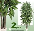 TWO 7' Very Full Long Ficus Real Wood Trunks Artificial Trees each with approx. 840 leaves