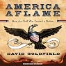 America Aflame: How the Civil War Created a Nation