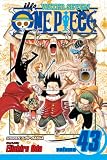 One Piece, Vol. 43