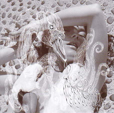 Bjork - Vespertine (SHM-CD UICY-93446) - Zortam Music