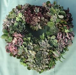 Succulent Heart Living Wreath - 9"