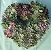 Succulent Heart Living Wreath - 9"
