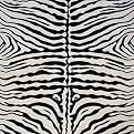 Zebra Skin Rug - 63x90"