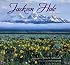 Portrait of Jackson Hole & the Tetons