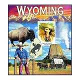 Wyoming Coverlet