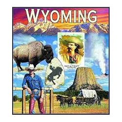 Wyoming Coverlet