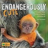 Cover for 9780761191063