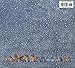 Snow: (Caldecott Honor Book)