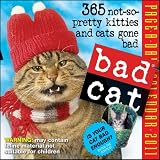 Bad Cat 2011 Page-A-Day Calendar