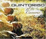 Il Cannone