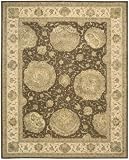 Nourison Nourison 3000 3006-BRN - Brown