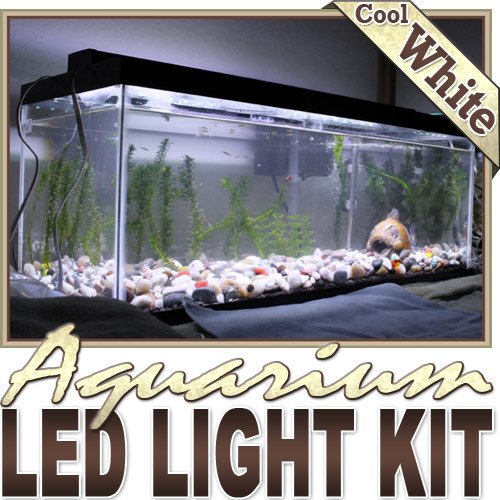 valentine Aquarium White Lighting Dimmer RemoteB00B8BQV12