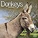 Donkeys Calendar - 2016 Wall calendars - Animal Calendar - Monthly Wall Calendar by Avonside