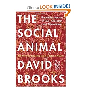 The Social Animal - David Brooks