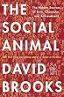 The Social Animal: The Hidden Sources of Love, Character, and Achievement