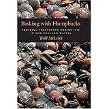 Basking with Humpbacks: Tracking Threatened Marine Life in New England Waters