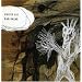 Knives Out 1 / Cuttooth / Life in a Glasshouse