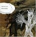 Music : Knives Out, Pt. 1