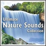 Rain Showers, Thunder Storm, Waterfalls MP3 Track for Relaxation, Spa