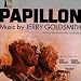 Papillon-Papillon