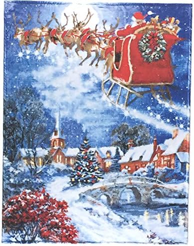 Micro Mink Blanket, Christmas Theme Fun Micro Mink Throw with Licensed Artwork, Very Soft, Lightweight, 48 x 60 (Multiple Fun Designs) (Santas Delivery)