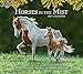 Lang 2017 Horses In The Mist Wall Calendar, 13.375 x 24 inches (17991001917)