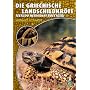 Die Griechische Landschildkr�te