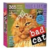Bad Cat 2009 Calendar: 365 Not-so-pretty Kitties and Cats Gone Bad (Original Page a Day Calendars)