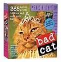 Bad Cat Page-A-Day Calendar 2009 (Original Page a Day Calendars)