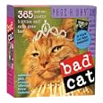 Bad Cat Page-A-Day Calendar 2009 (Original Page a Day Calendars) by Workman Publishing Company