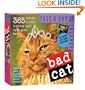 Bad Cat Page-A-Day Calendar 2009 (Original Page a Day Calendars)
