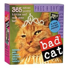 Bad Cat Page-a-Day Calendar 2009 (Original Page a Day Calendars)