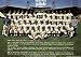 The Seattle Pilots: Short Flight Into History