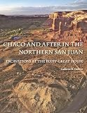 Chaco and After in the Northern San Juan: Excavations at the Bluff Great House