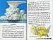 Image: Shopper's Delight: General in The Books Store ~ Weather (A Golden Guide From St. Martin's Press)
