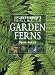 Book Garden Ferns (Plantfinder's Guides Series)