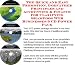 The Quick and Easy Promotion, Godfather Principles and Accounting & Finance for Clarifying Shampoos Web Businesses 3 CD Power Pack