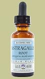 Chinese Astragalus Root Extract No Alcohol - 2 oz. - Liquid