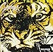 Eye of the Tiger