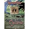 The Black Cyclone