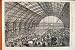 Smithfield Club Cattle Show Islington Agricultural Hall