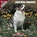 Australian Shepherd 2009 Wall Calendar