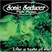 Sonic Seducer/Like a Taste Ofsin !