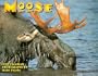 Moose: 2001 Calendar