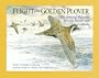 Flight of the Golden Plover: The Amazing Migration Between Hawaii and Alaska