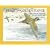 Flight of the Golden Plover: The Alaskan Migration of Hawaii's Favorite Bird