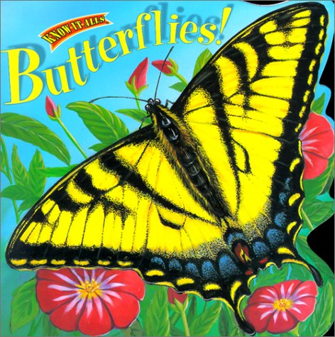Insects